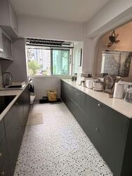 Blk 39A Skyoasis @ Dawson (Queenstown), HDB 4 Rooms #602769931